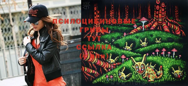 стафф Волоколамск