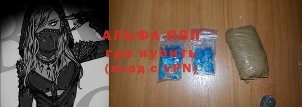 стафф Волоколамск