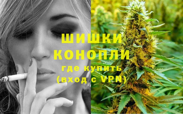 стафф Волоколамск